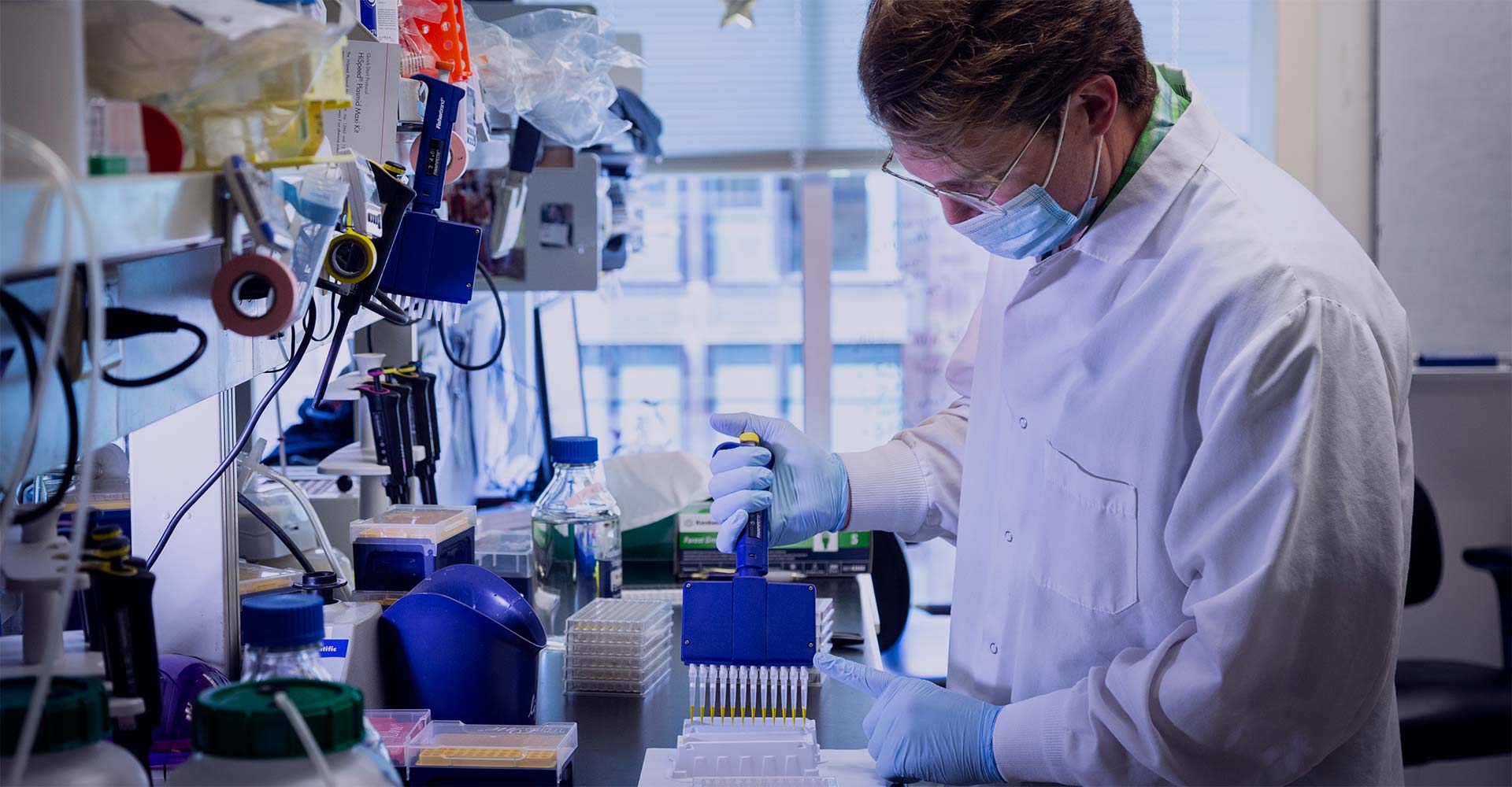 Transmission electron microscope image of HSV virions